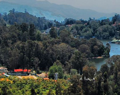 Cheap-ooty-tour-package